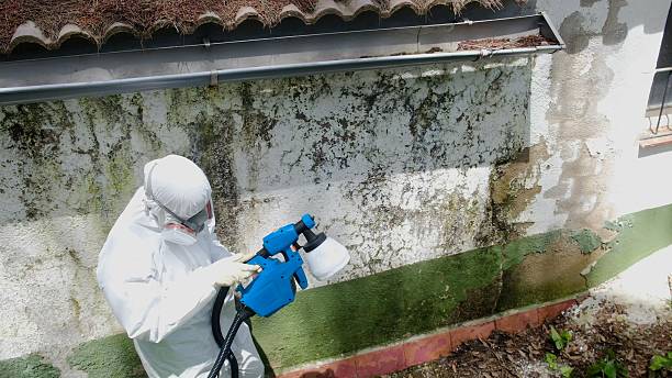 Trusted Mold Removal service in Milroy, PA - Cheap Mold Removal